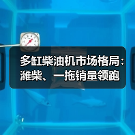 多缸柴油机市场格局:潍柴、一拖销量领跑(图2) 多缸柴油机市场格局:潍柴、一拖销量领跑(图2)