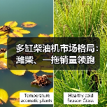多缸柴油机市场格局:潍柴、一拖销量领跑(图4) 多缸柴油机市场格局:潍柴、一拖销量领跑(图4)