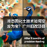 液态固化土技术如何变废为宝?广州旧改项目破解施工难题(图2) 液态固化土技术如何变废为宝?广州旧改项目破解施工难题(图2)