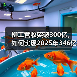 柳工营收突破300亿,如何实现2025年346亿目标?(图2) 柳工营收突破300亿,如何实现2025年346亿目标?(图2)