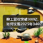 柳工营收突破300亿,如何实现2025年346亿目标?(图3) 柳工营收突破300亿,如何实现2025年346亿目标?(图3)