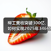 柳工营收突破300亿,如何实现2025年346亿目标?(图4) 柳工营收突破300亿,如何实现2025年346亿目标?(图4)