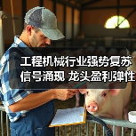 工程机械行业强势复苏信号涌现 龙头盈利弹性凸显