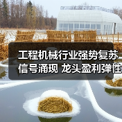 工程机械行业强势复苏信号涌现 龙头盈利弹性凸显(图4) 工程机械行业强势复苏信号涌现 龙头盈利弹性凸显(图4)