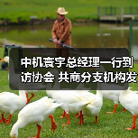 中机寰宇总经理一行到访协会 共商分支机构发展与合作(图4) 中机寰宇总经理一行到访协会 共商分支机构发展与合作(图4)