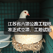 江苏省六项公路工程标准正式立项,工地试验室管理如何规范?(图4) 江苏省六项公路工程标准正式立项,工地试验室管理如何规范?(图4)