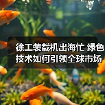 徐工装载机出海忙 绿色技术如何引领全球市场?(图2) 徐工装载机出海忙 绿色技术如何引领全球市场?(图2)
