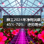柳工2024年净利润飙升45%-70%：逆势增长背后的行业机遇