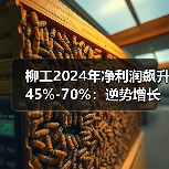 柳工2024年净利润飙升45%-70%:逆势增长背后的行业机遇(图3) 柳工2024年净利润飙升45%-70%:逆势增长背后的行业机遇(图3)