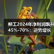 柳工2024年净利润飙升45%-70%:逆势增长背后的行业机遇(图4) 柳工2024年净利润飙升45%-70%:逆势增长背后的行业机遇(图4)
