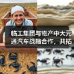临工集团与物产中大元通汽车战略合作,共拓国际市场(图4) 临工集团与物产中大元通汽车战略合作,共拓国际市场(图4)