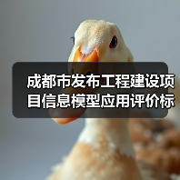 成都市发布工程建设项目信息模型应用评价标准