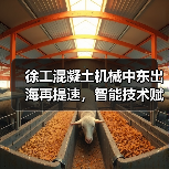 徐工混凝土机械中东出海再提速,智能技术赋能基建升级(图1) 徐工混凝土机械中东出海再提速,智能技术赋能基建升级(图1)