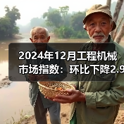 2024年12月工程机械市场指数:环比下降2.91%(图4) 2024年12月工程机械市场指数:环比下降2.91%(图4)