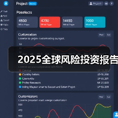 2025全球风险投资报告(图3) 2025全球风险投资报告(图3)
