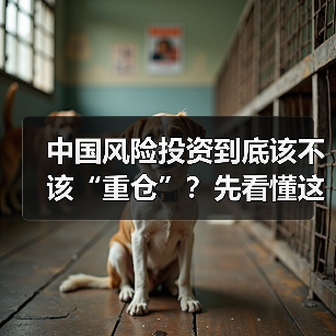 中国风险投资到底该不该“重仓”？先看懂这五大利弊再下注（图1）