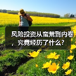 风险投资从蛮荒到内卷,究竟经历了什么?(图1) 风险投资从蛮荒到内卷,究竟经历了什么?(图1)