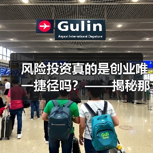 风险投资真的是创业唯一捷径吗?——揭秘那些被光环掩盖的致命陷阱(图3) 风险投资真的是创业唯一捷径吗?——揭秘那些被光环掩盖的致命陷阱(图3)